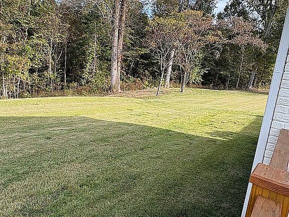 Plush back yard