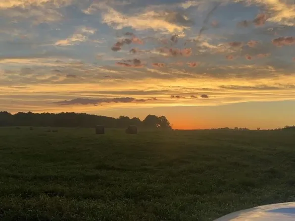 0 County Road 1242, Vinemont, AL 35179