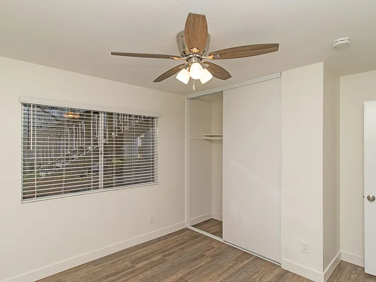 Olive Tree Manor — Photo 10