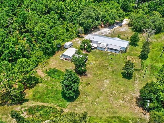4th image of 203 Palmetto Ct