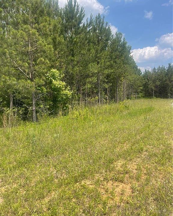 0 Steadman Rd 72, Tallapoosa, GA 30176 MLS 7229257 Zillow