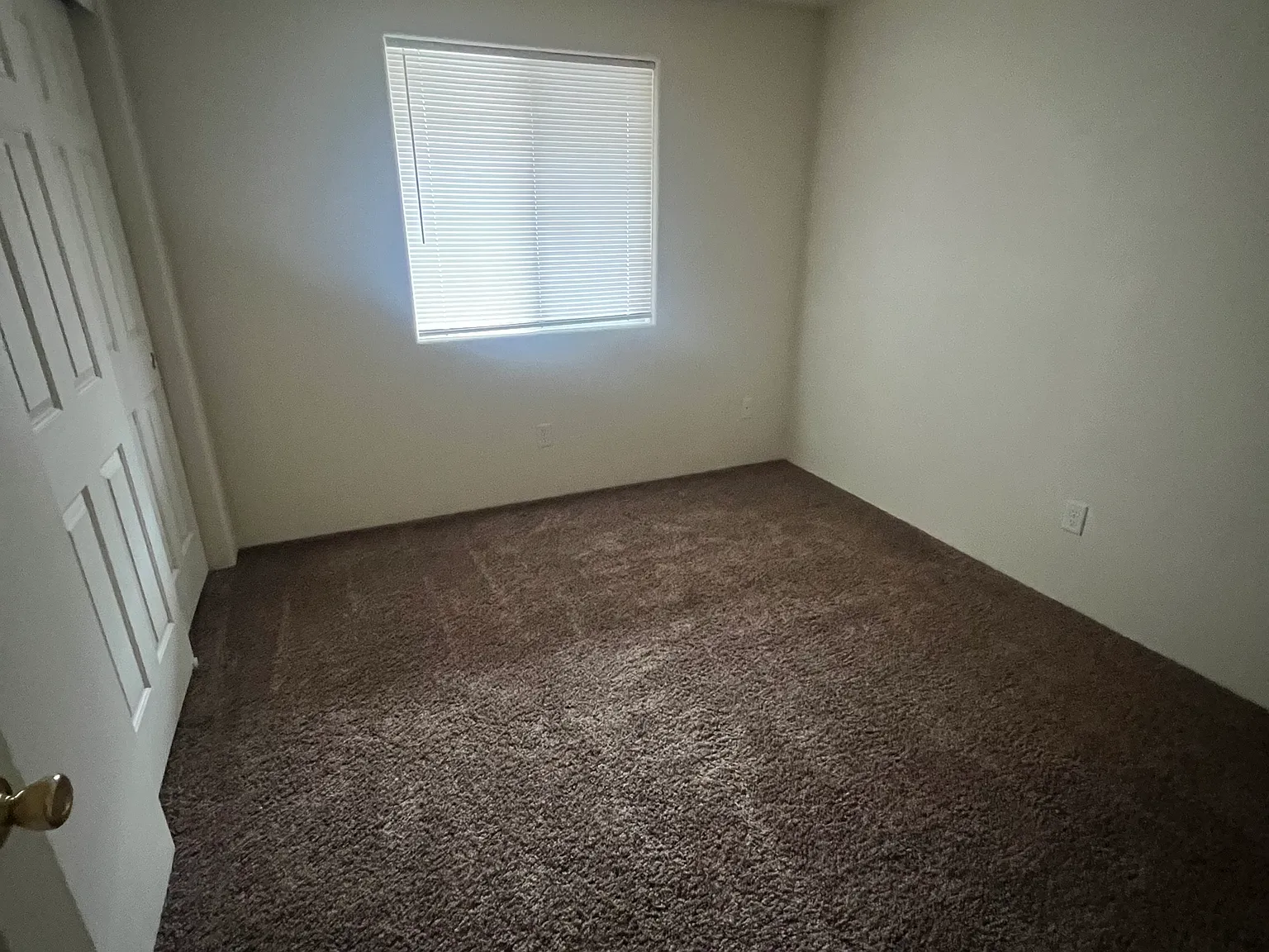 2 bed, $1,295 — Photo 4