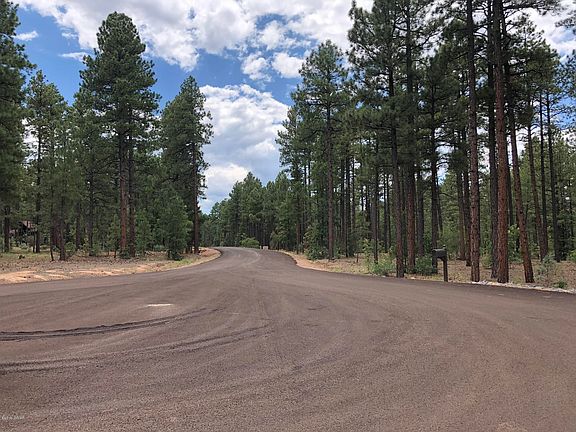 3rd image of 1360 S Bristle Cone Dr