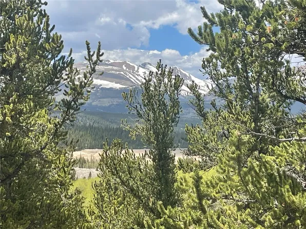 00 Ponderosa Road, Fairplay, CO 80440