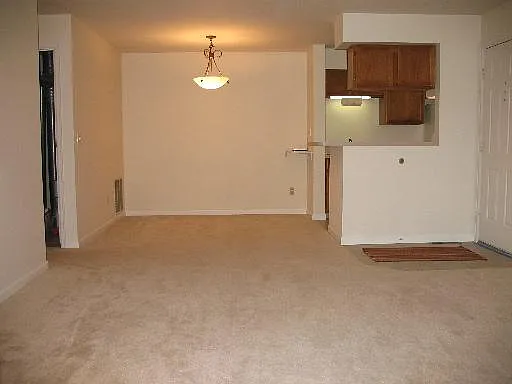 Open living room, dining room, and kitchen. (The carpet will be replaced with beautiful LVP in early August.)