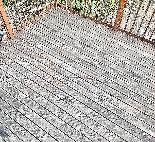 118A Schaefer St #2 — Photo 6