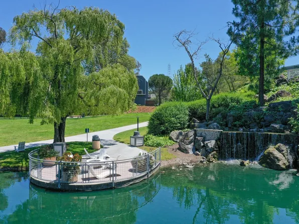 Serenity at Larkspur