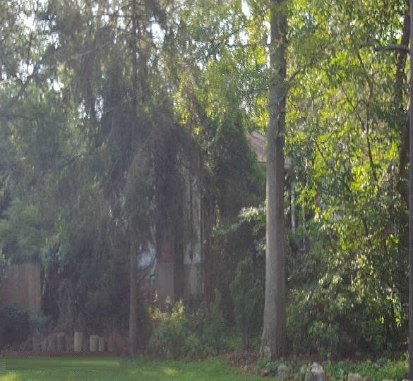 2nd image of 5 Cedar Branch St