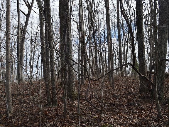 3rd image of 0 Skyline Dr #339
