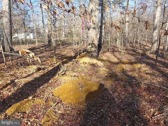 4th image of 7060 Annapolis Woods Rd