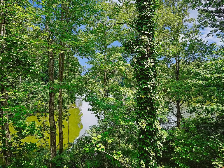 15748 Widewater Dr — Photo 30
