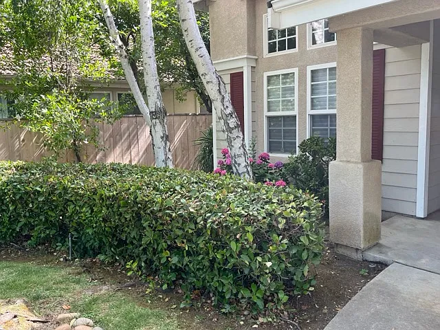 4 bed, 2061 sqft, $3,000 — Photo 3
