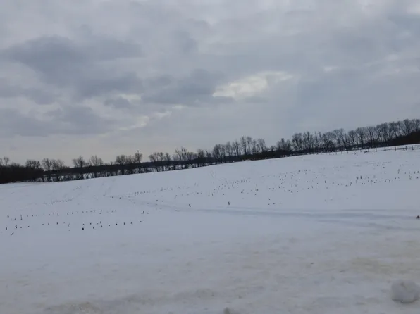 NULLA E Elm Valley Rd, Buchanan, MI 49107