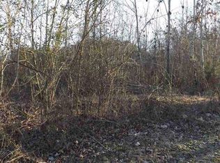 LOT 2 Tennessee St, Spring City, TN 37381