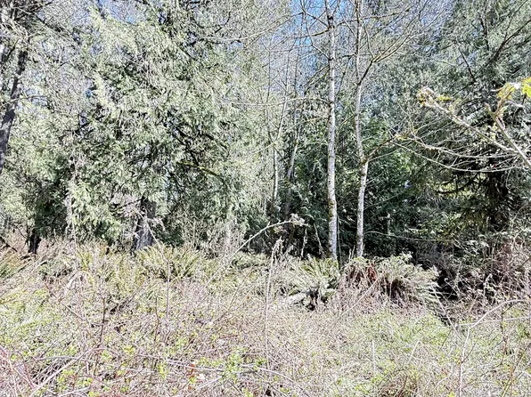 0 N Louisiana Ave, Vernonia, OR 97064