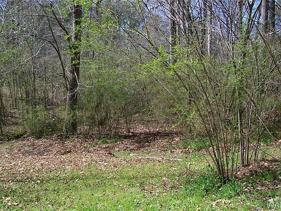 2nd image of 4901 Oak Meadow Dr