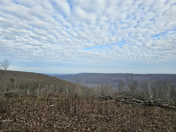 25 Higgenbotham Tpke, Altamont, TN 37301