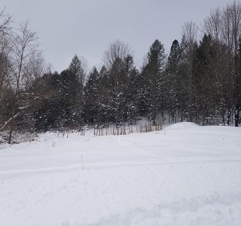 2nd image of 7740 Evergreen Ridge Dr