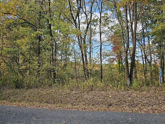 This property has approximately 1,370' of road frontage on both sides of Bishop Mountain Road.