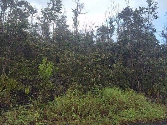 3rd image of 92-9256 Orchid Pkwy Lot 19
