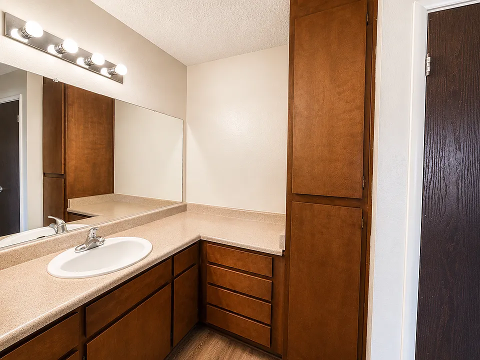 Large vanity separate from shower/toilet