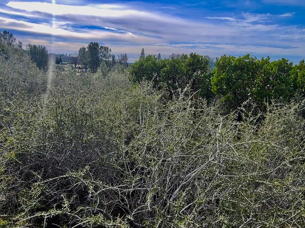 LOT 13 Battle View Dr, Manton, CA 96059