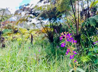 Road 6 LOT 359, Volcano, HI 96785