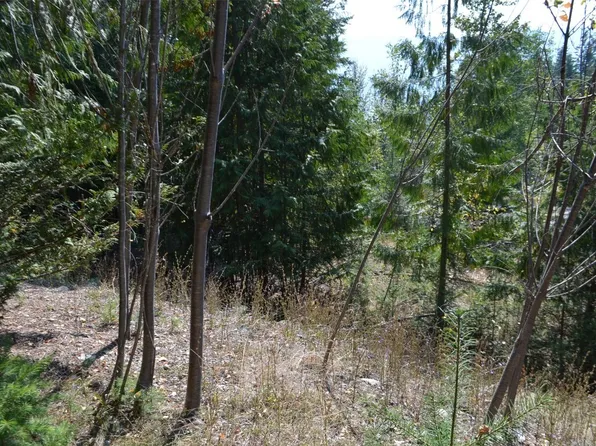 Fraser Rd, North Okanagan, BC V0E 2G7