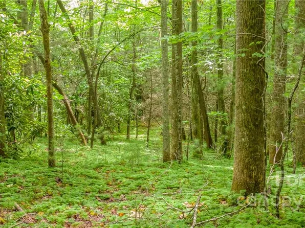 99999 Ridge Top Dr, Pisgah Forest, NC 28768