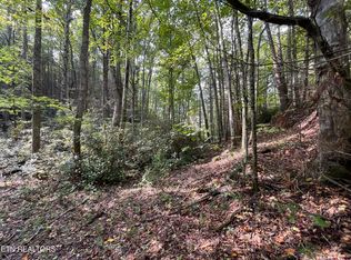 LOT 16 Steer Creek Rd, Tellico Plains, TN 37385