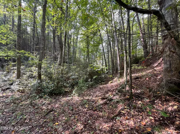 LOT 16 Steer Creek Rd, Tellico Plains, TN 37385