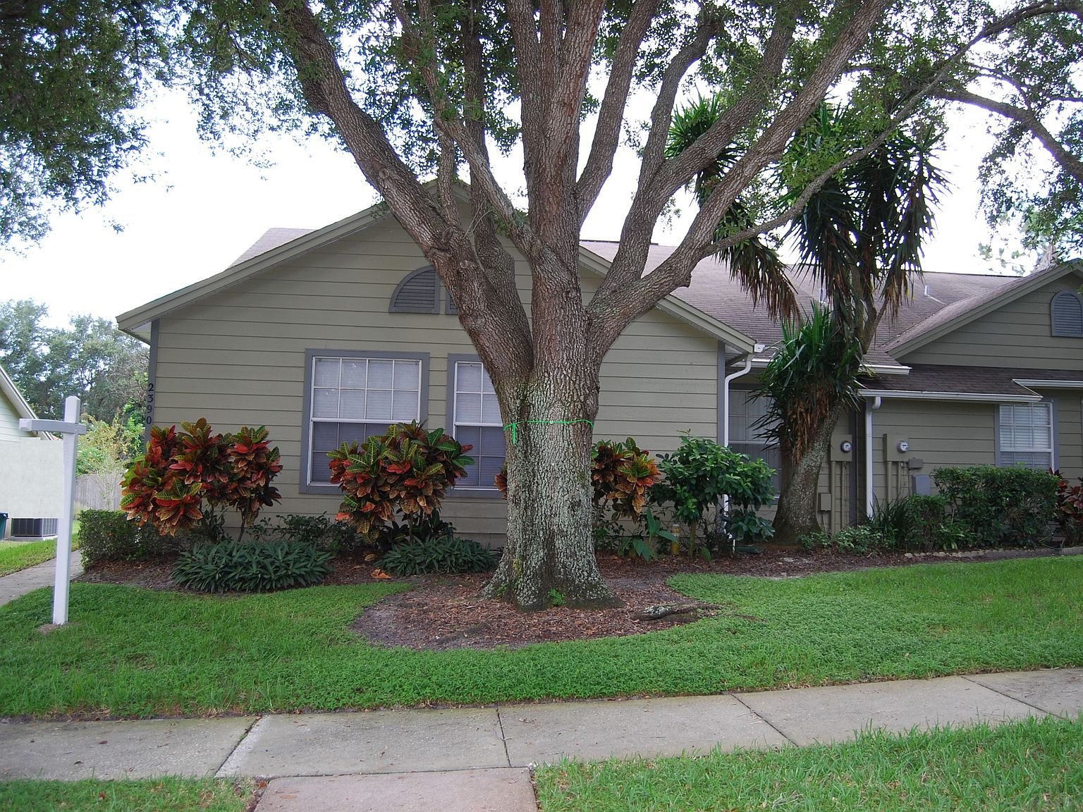 2390 Bentley Dr, Palm Harbor, FL 34684 | Zillow