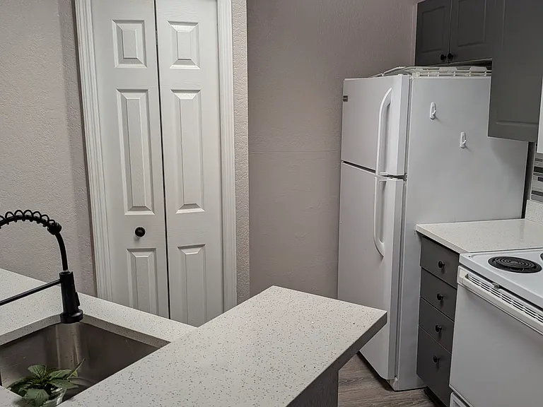 4209 Woodstorks Walk Way #205 — Photo 15