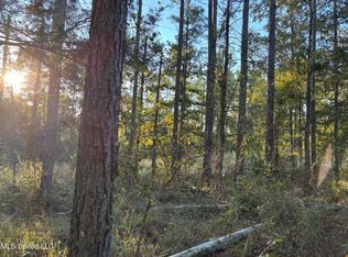 0 Simpson Rd, Pickens, MS 39146