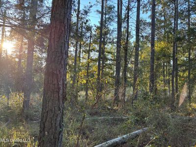 0 Simpson Rd, Pickens, MS, 39146