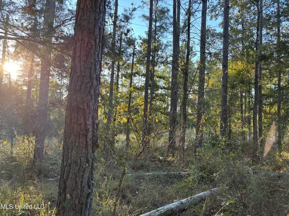 0 Simpson Rd, Pickens, MS 39146