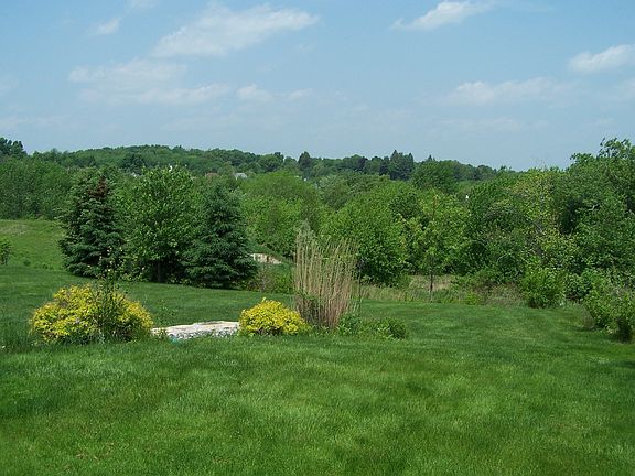 back yard view