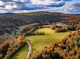 223 Huggins Rd, Deposit, NY 13754