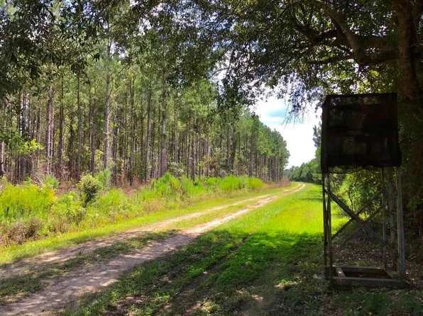 Geddesville Rd, Adams Run, SC 29426