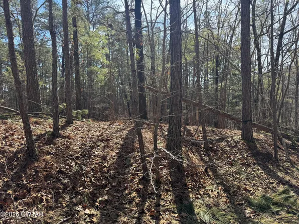 160 Oakgrove Rs Rd, Middleton, TN 38052