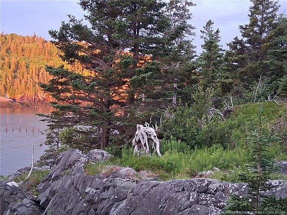3rd image of 244 Fundy Dr
