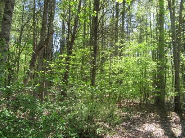 9563 George Ruff Rd #4594, Bullock, NC 27507