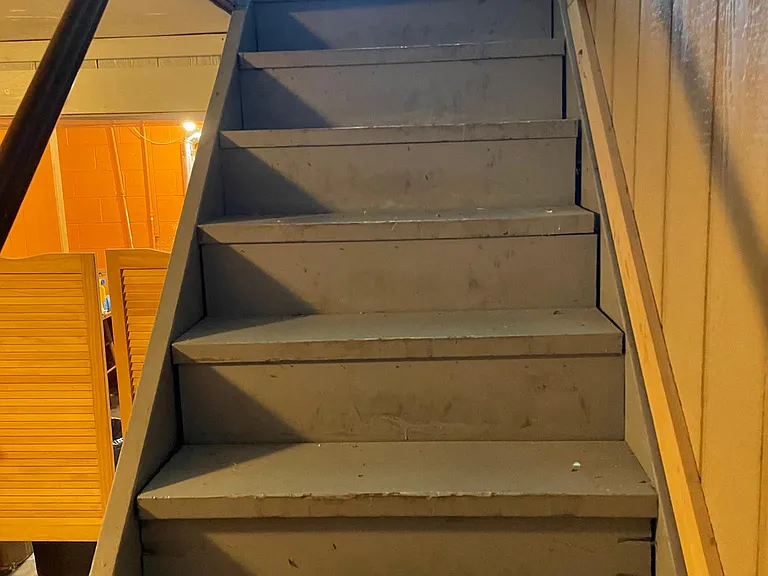 Basement/Lower level stairs.
