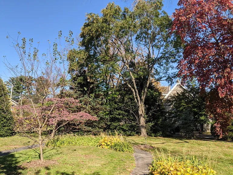Property Yard with walking Trial