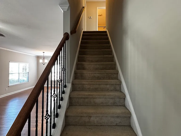 216 Hawks Nest Cir — Photo 10
