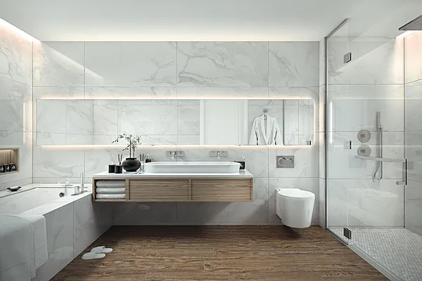 Rented by Reuveni LLC | media 15