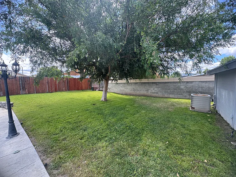 Large back yard