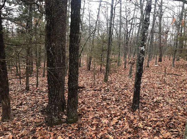 805 Cook Rd, Horseshoe Bend, AR 72512