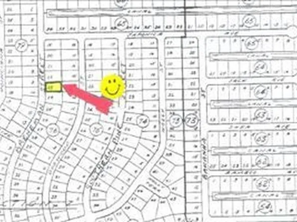 1245 Breneman St, Lake Placid, FL 33852