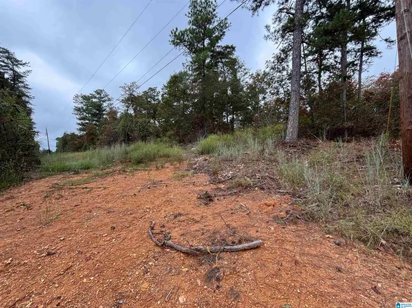 Hearthstone Dr #10, Odenville, AL 35120